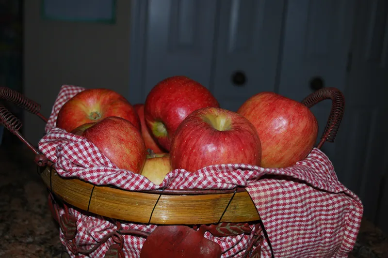 November's Blue Ridge Mountain Apple Profile: The York