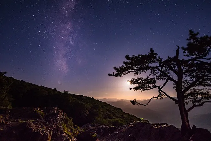 January/February Skywatch: Is the Brightest Star the closest?