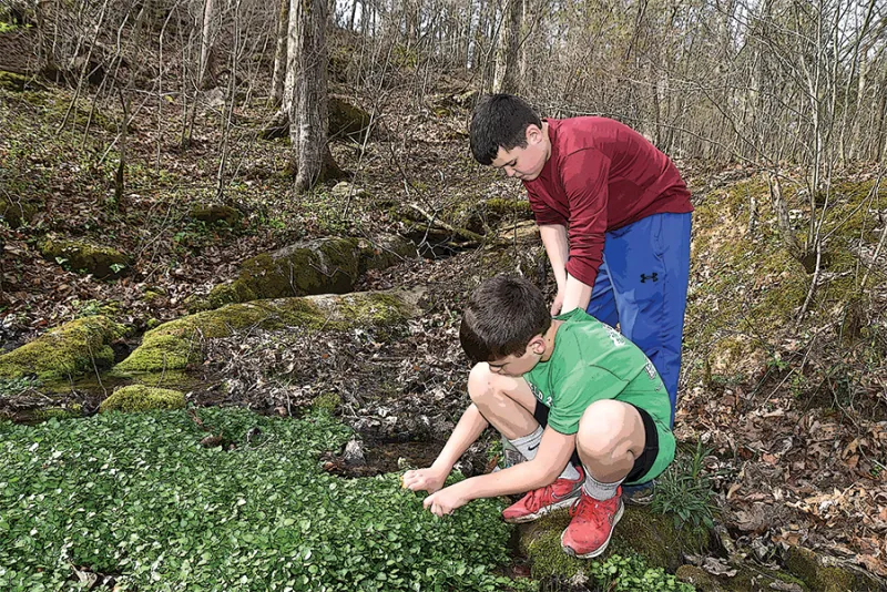 Gifts of the Land: A Season in Turn