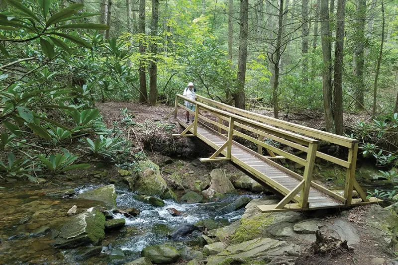 Kentucky's Bad Branch Falls: A (Fairly) Tame Trek Through the Forest
