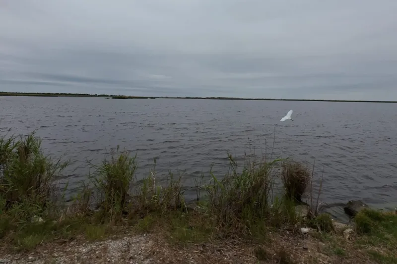 As SpaceX rumors circulate in coastal Louisiana, so do worries of losing generational land