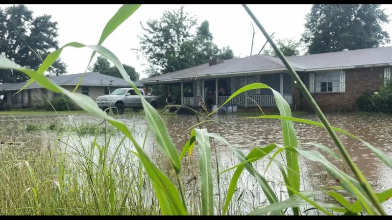 Storm recovery efforts continue in Pointe Coupee, Avoyelles parishes