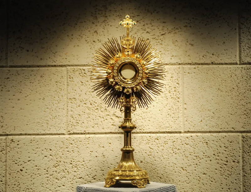 250 Hours of Adoration and 250 Works of Mercy
