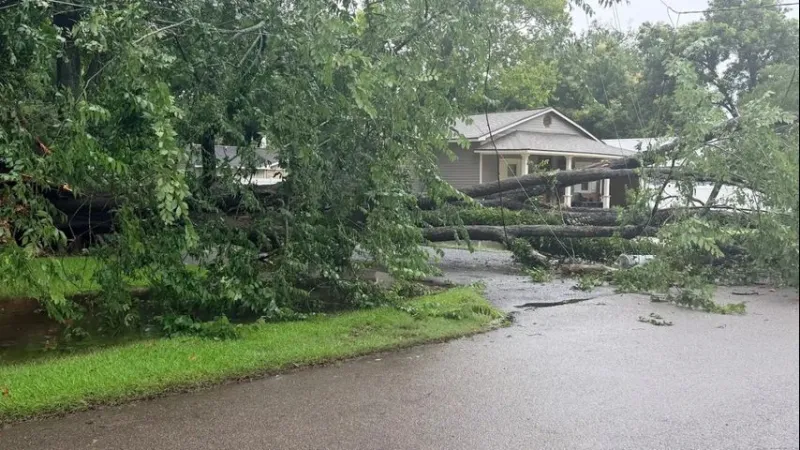 Fund established to help Pointe Coupee Parish residents following flooding