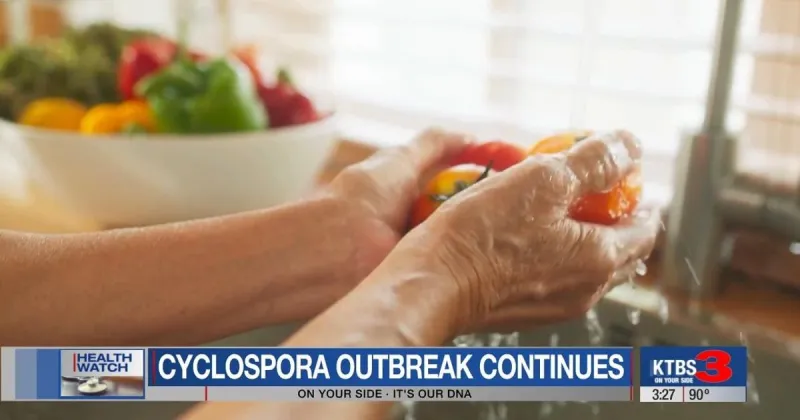 Cyclospora cases rising across ArkLaTex, doctors warn of severe GI symptoms