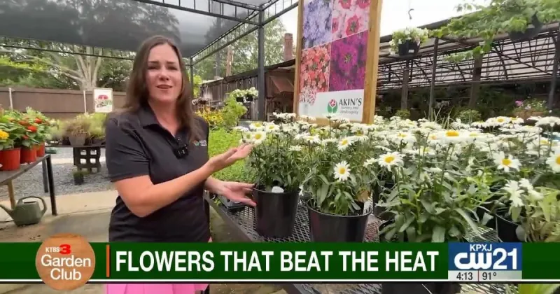 KTBS Garden Club: Heat-loving plants that thrive in Louisiana's summer heat