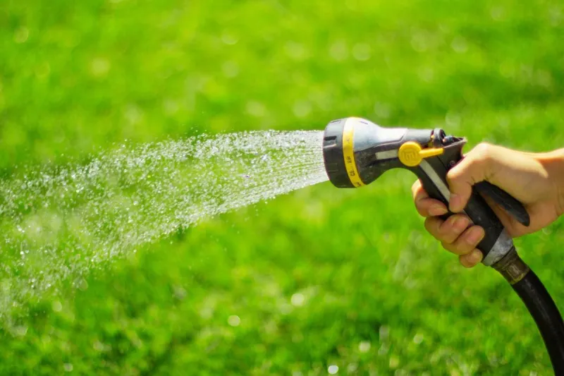 Is Overwatering Ruining Your Grass? Summer Lawn Guide