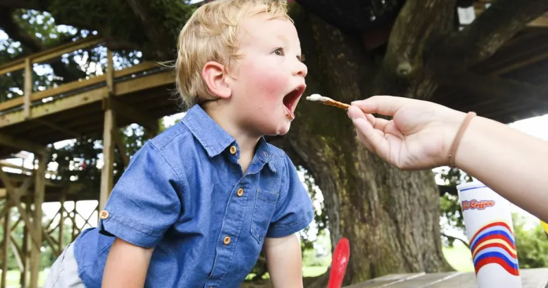 Beat the heat in these cool Lafayette ice cream parlors with gelato, malts, classic cones and more