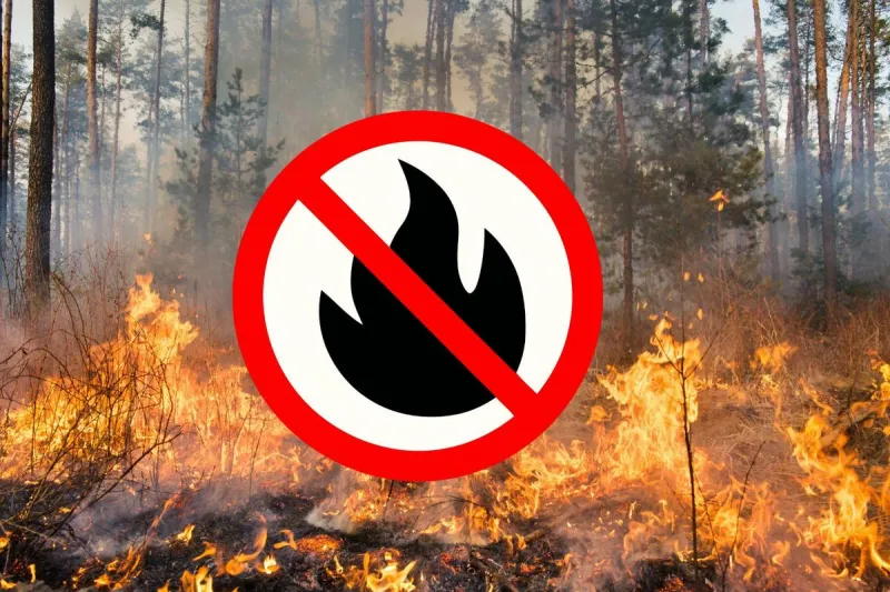 Will Other Louisiana Parishes Follow DeSoto In Issuing Burn Bans