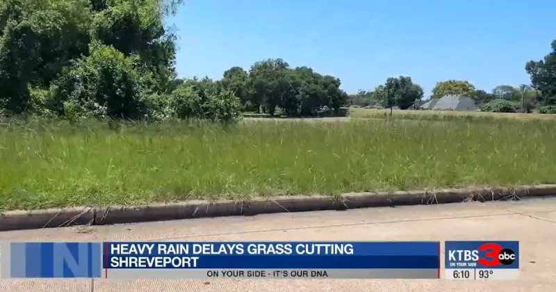 Shreveport council members frustrated by overgrown grass along roads, I-220