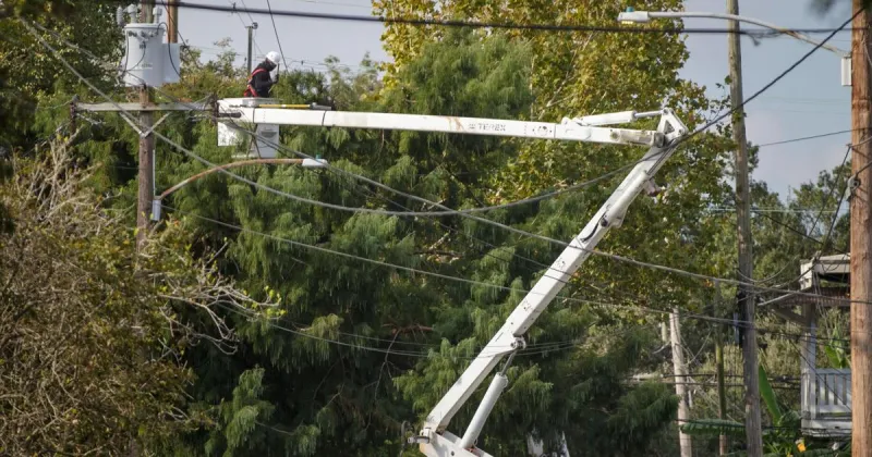 Letters: Contractor damaged trees that didn't even need to be trimmed