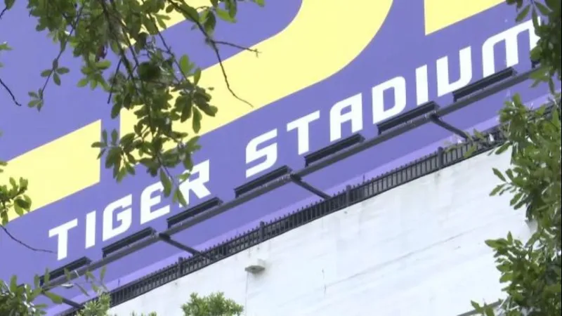 How Louisiana colleges will use an infusion of tax money for their sports programs