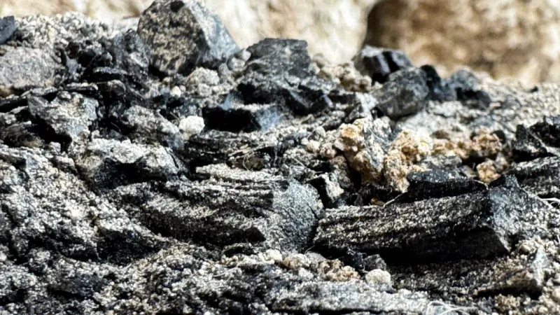 Charred wooden beams from First Temple's destruction unearthed in Jerusalem