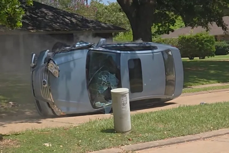 Quiet Neighborhood Walk Ends With Shocking Discovery