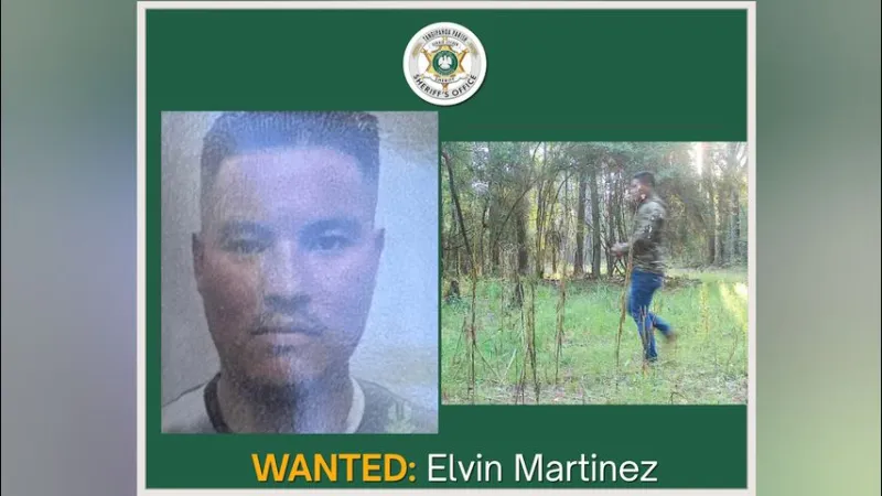 Suspect who escaped Border Patrol custody still at large; search expands into St. Tammany Parish