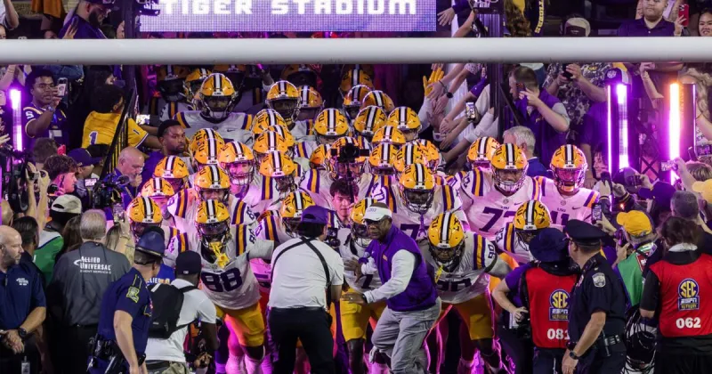 Private investors could help LSU build a revenue engine to fund athletics. Here's what we know.