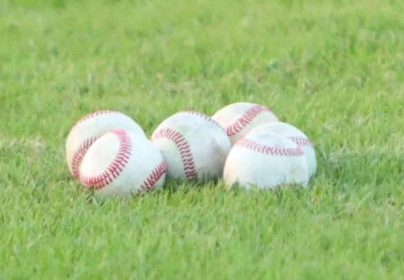 College baseball: BPCC sends eight players to Division I