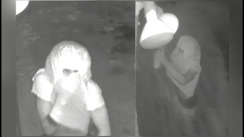 Donaldsonville business hit with graffiti, Ascension Parish sheriff seeks suspect