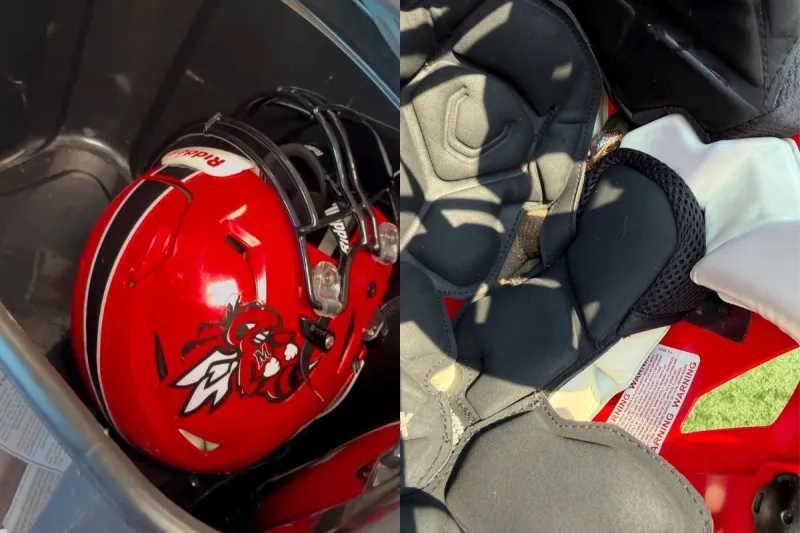 Football Practice Takes Shocking Turn After Venomous Snake Found