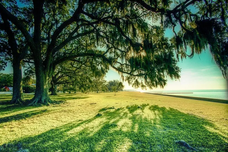 Who Owns the Most Land in Louisiana?