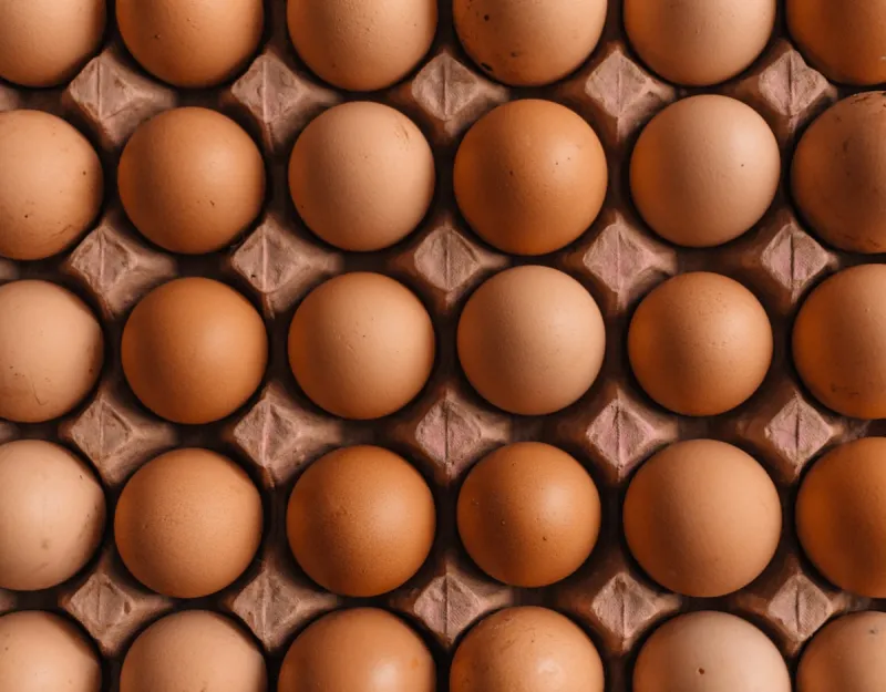 FDA Raises Alarm Over 19 Million Eggs Sold at Louisiana Kroger and Brookshire's
