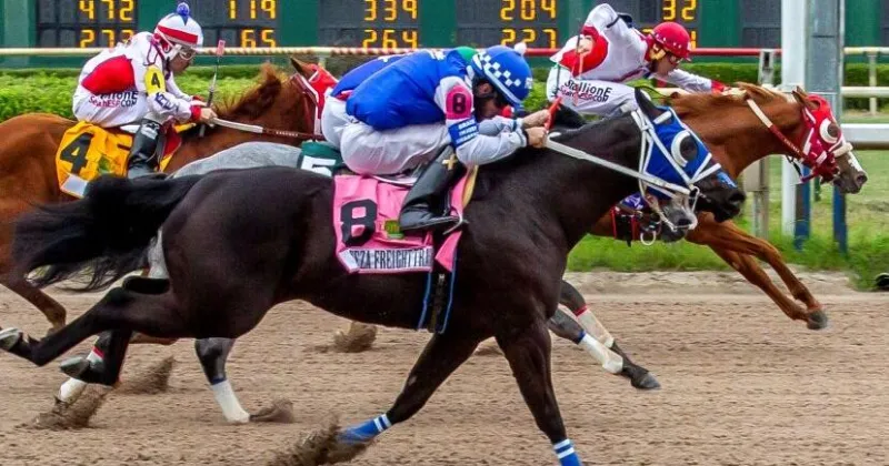 Extreme heat postpones Louisiana Downs racing schedule this week