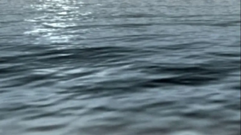 New case of brain-eating amoeba found in Louisiana