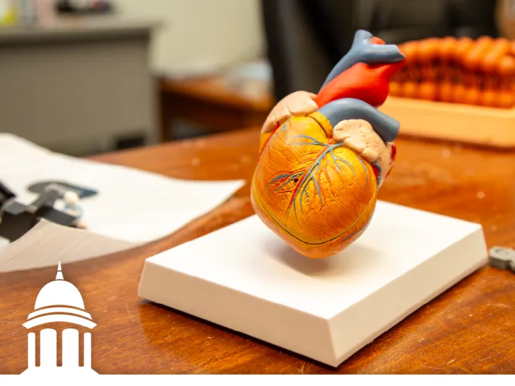 Biology Department hosts 3D Printing Open House on Sept. 15