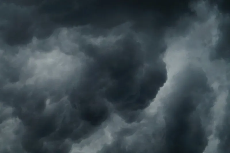 Louisiana Woman Killed After Tree Falls on Camper