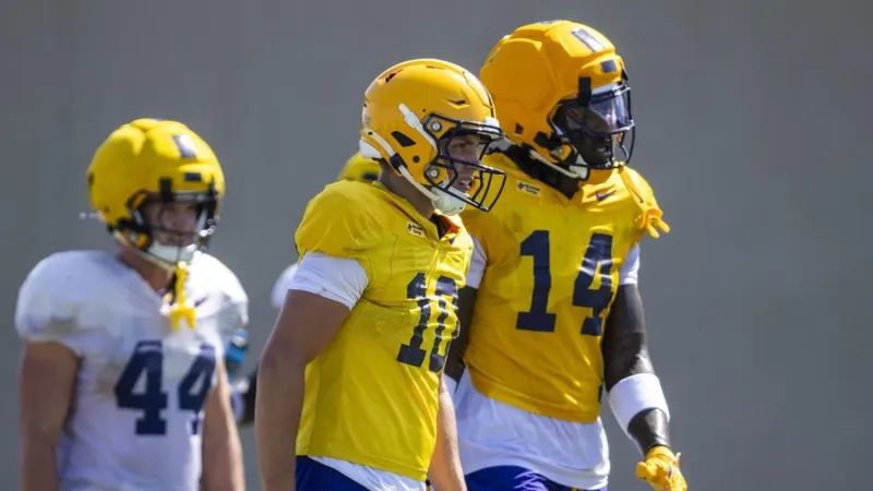 LSU's Trey'Dez Green, Sam Leavitt explain why they're excited to play with former NFL TE Dae'Quan Wright