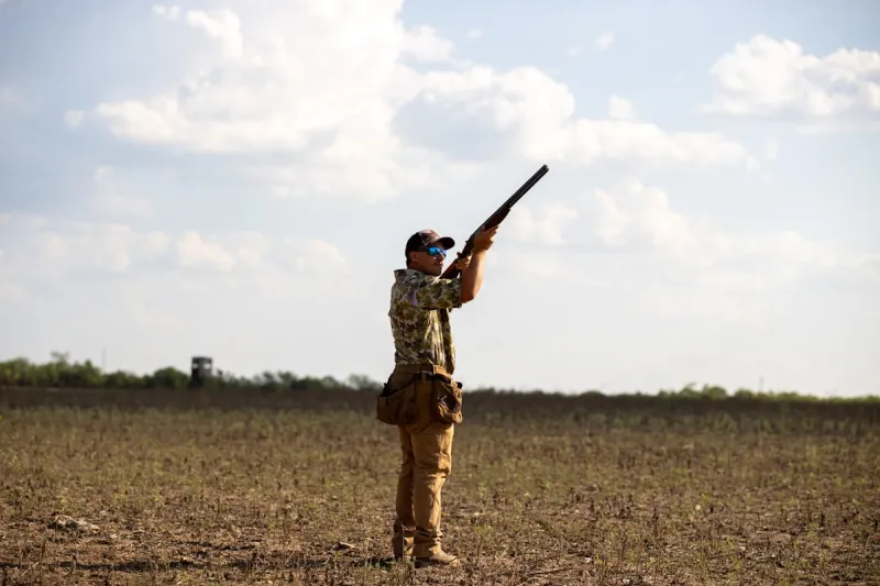 2026 Dove Hunting Season in Louisiana This Weekend