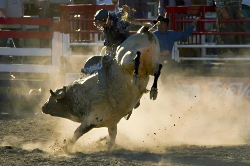 Plan Your Week Around the Massive Springhill PRCA Rodeo Schedule