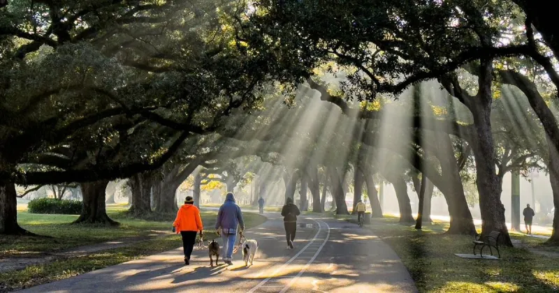 Guest Column: New Orleans' 'pleasurable stagnation' left a mark on my family
