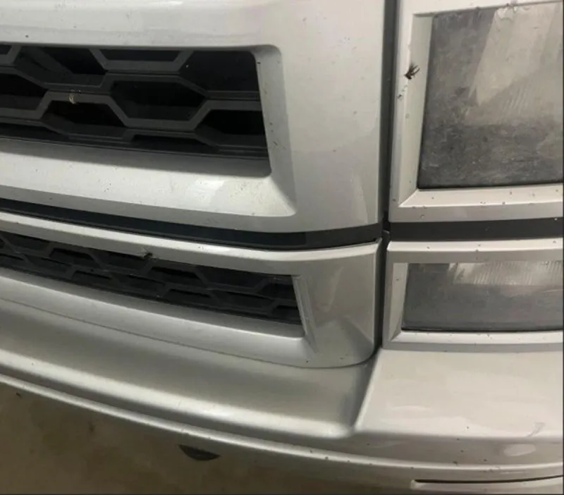 Simple Hacks for Cleaning Splattered Lovebugs Off Your Vehicle