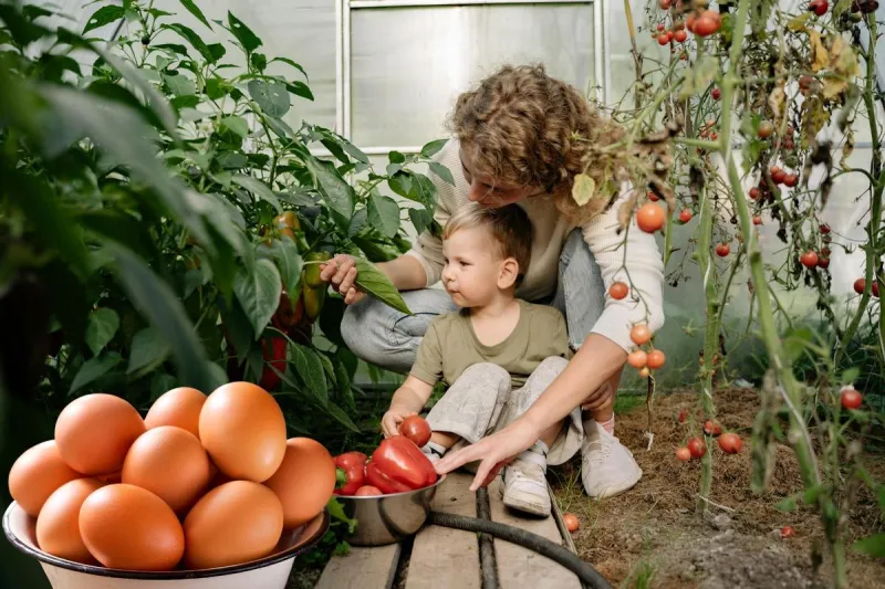 Free Louisiana Homesteading Festival Coming to Bossier City
