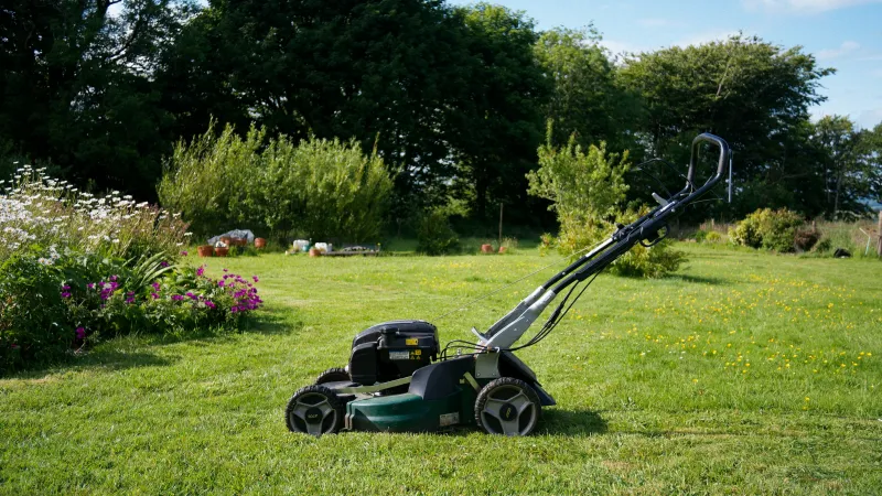 Last Date for Lawn Cutting in Louisiana? Later Than You Think