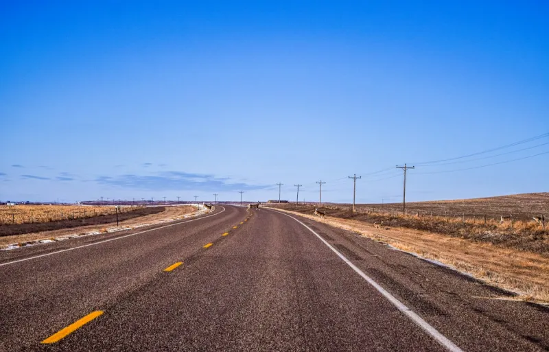 Drivers in Louisiana May See More of These Road Hazards While Traveling