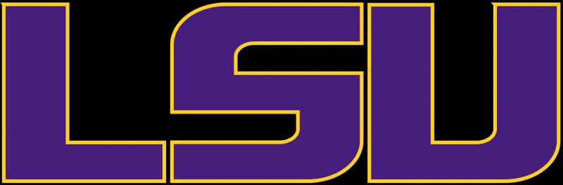 College football: LSU's second-half rally comes up just short against Ole Miss