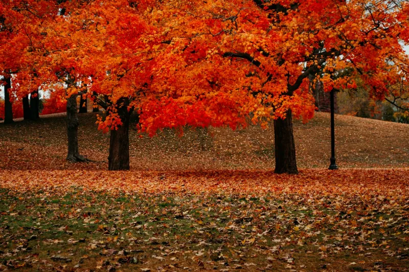 Fall Arrives Tuesday Night, Bringing Normal Temperatures and Much Needed Rain To Louisiana