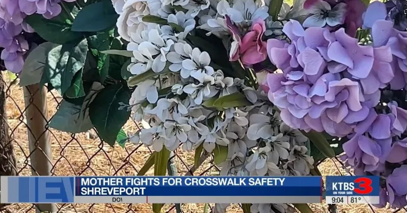 Mother of teen killed on Hearne Avenue urges Shreveport council to address pedestrian safety