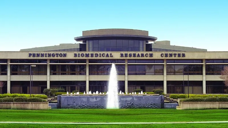 Baton Rouge researcher reviews ultraprocessed food links to aging brain and dementia