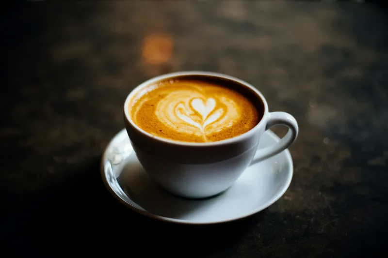 Born in a Bookstore - Louisiana's Favorite Coffee Shop Revealed
