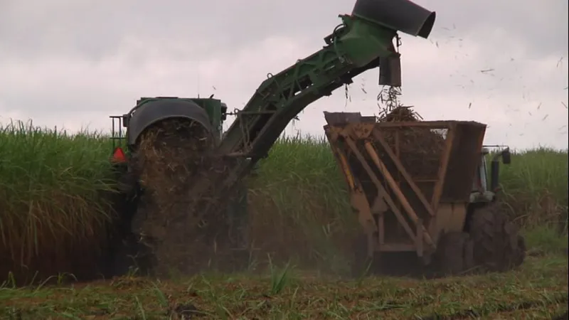 Gov. Landry, USDA secretary to speak at Louisiana Sugar Cane Cooperative as harvesting season starts