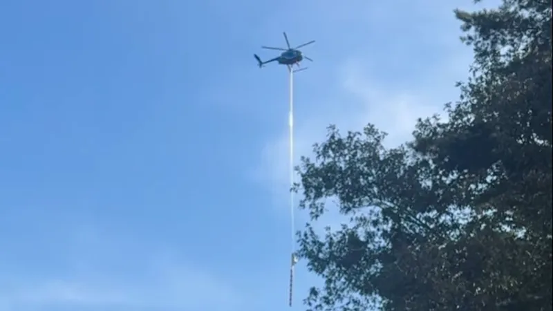 DEMCO conducting maintenance, trimming trees alongside power lines, roadways in Livingston Parish
