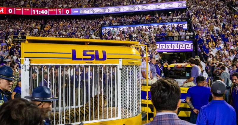 Ex-LSU provost says he left after clash with Gov. Jeff Landry over live tiger at football game