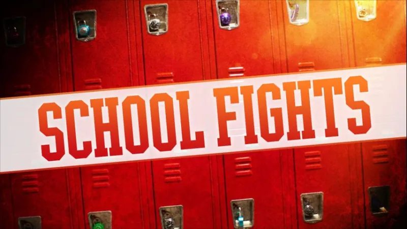 Student fight videos at Tara High School spark safety concerns