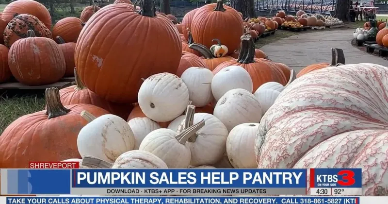 Pumpkin patch at Provenance supports local families through Junior League fundraiser