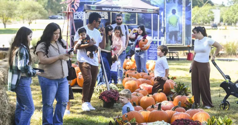 Fall is here in Acadiana. See where to find pumpkins, hayrides and family fun.