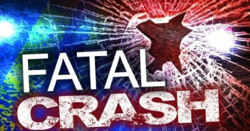 Pedestrian killed in DeSoto Parish crash