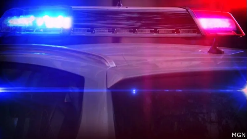 1 person critically injured after crash along La. 1 in Donaldsonville, officials say